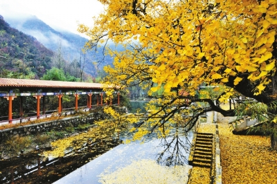 西(chng)银树(wi)沟、伏牛地下河漂流二日?></a></p>
                                                        <p id=